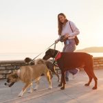 6 formas de ganhar dinheiro hoje